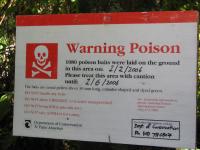 Albums/20060200-New Zealand 2006/20060210-Te Anau to Milford/61